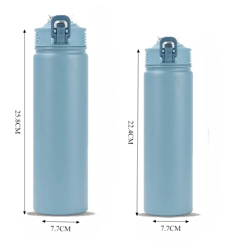 600/750ml Vacuum Insulated Stainless Steel Bottle with Straw Leakproof Sports Car Tumbler Hot & Cold Retention