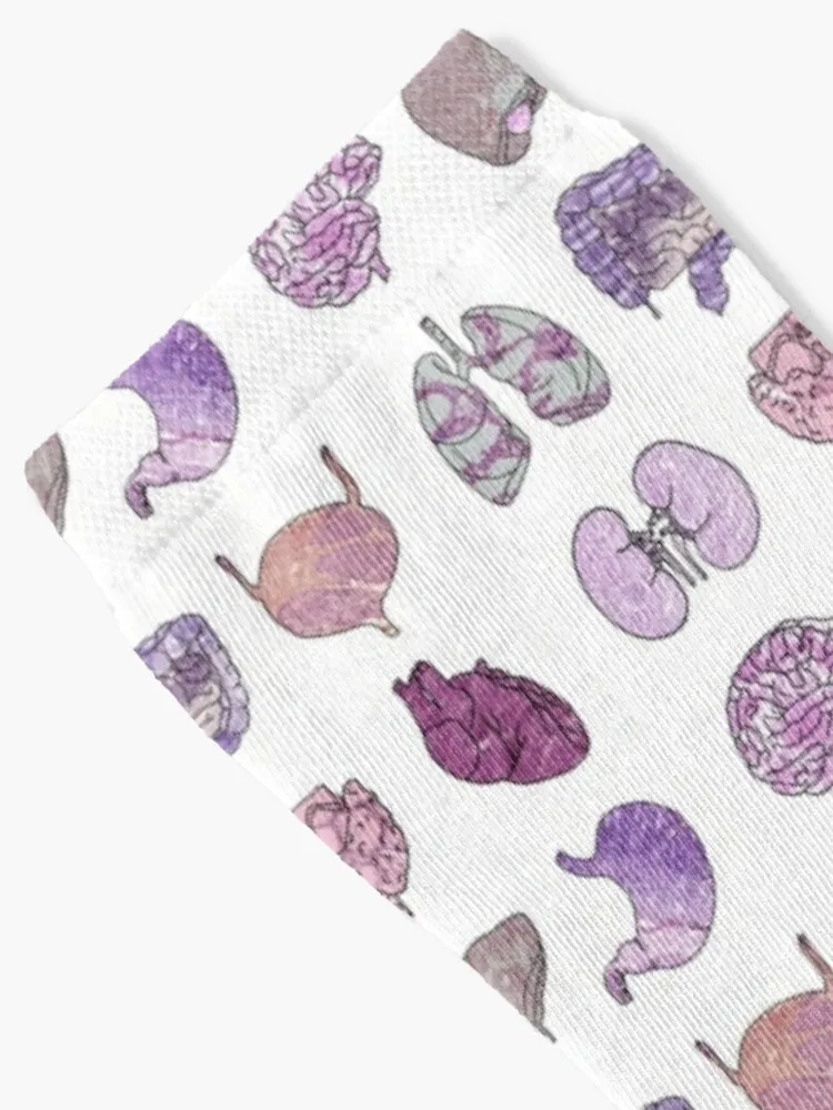 Histology Organs Socks Women'S Socks High