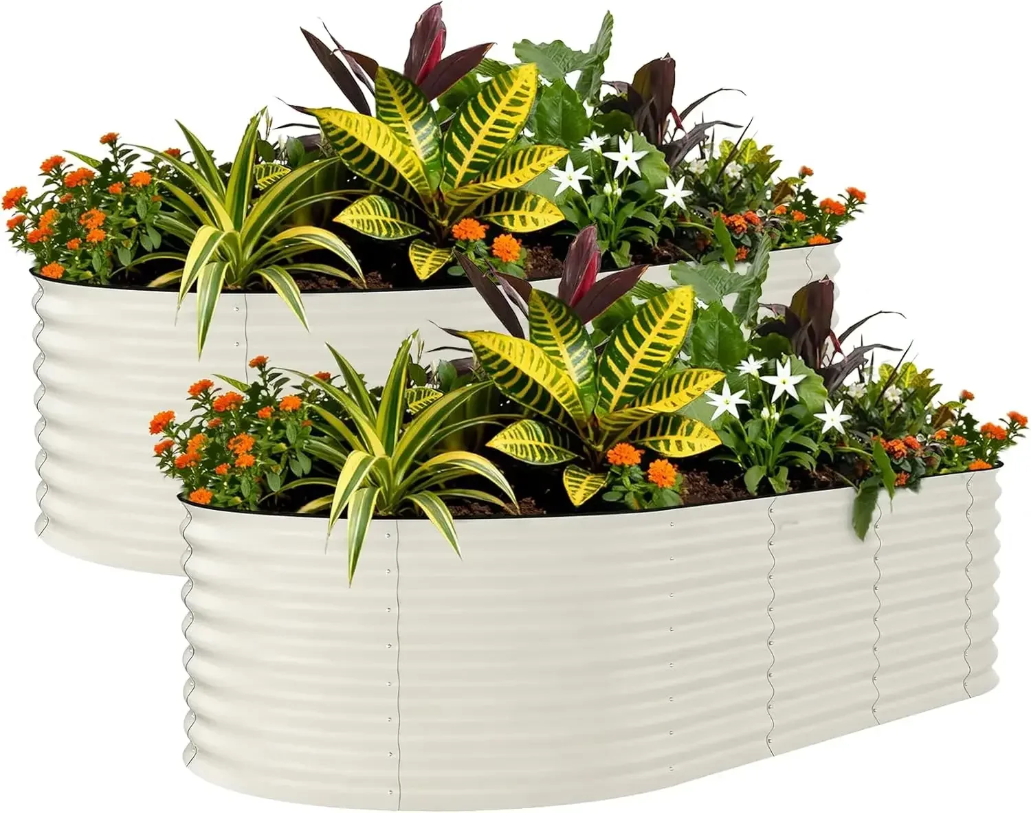 

Two Pack Galvanized Raised Garden Beds Eight By Four Two Feet Planter Box For Vegetables Flowers Rust Resistant Garden Box Easy