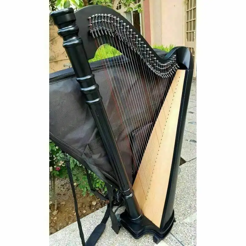 

34 String Harp Black, Wood, Musical Use