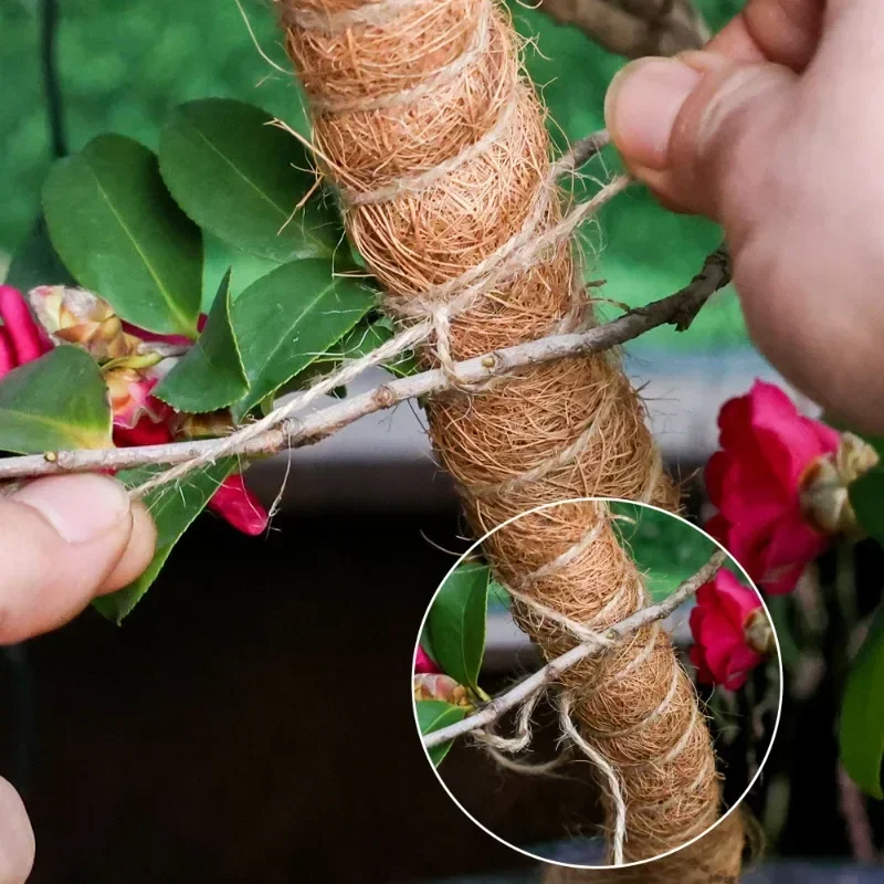 80/100/120cm, zginane kołki roślinne słup wspinaczkowy z włókna kokosowego, roślina doniczkowa wspierać narzędzia ogrodnicze wzrostu