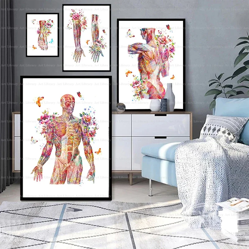 Human Muscle Anatomy Musculoskeletal System Minimalist Wall Art Print Canvas Painting Posters for Bedroom Modern Home Decor