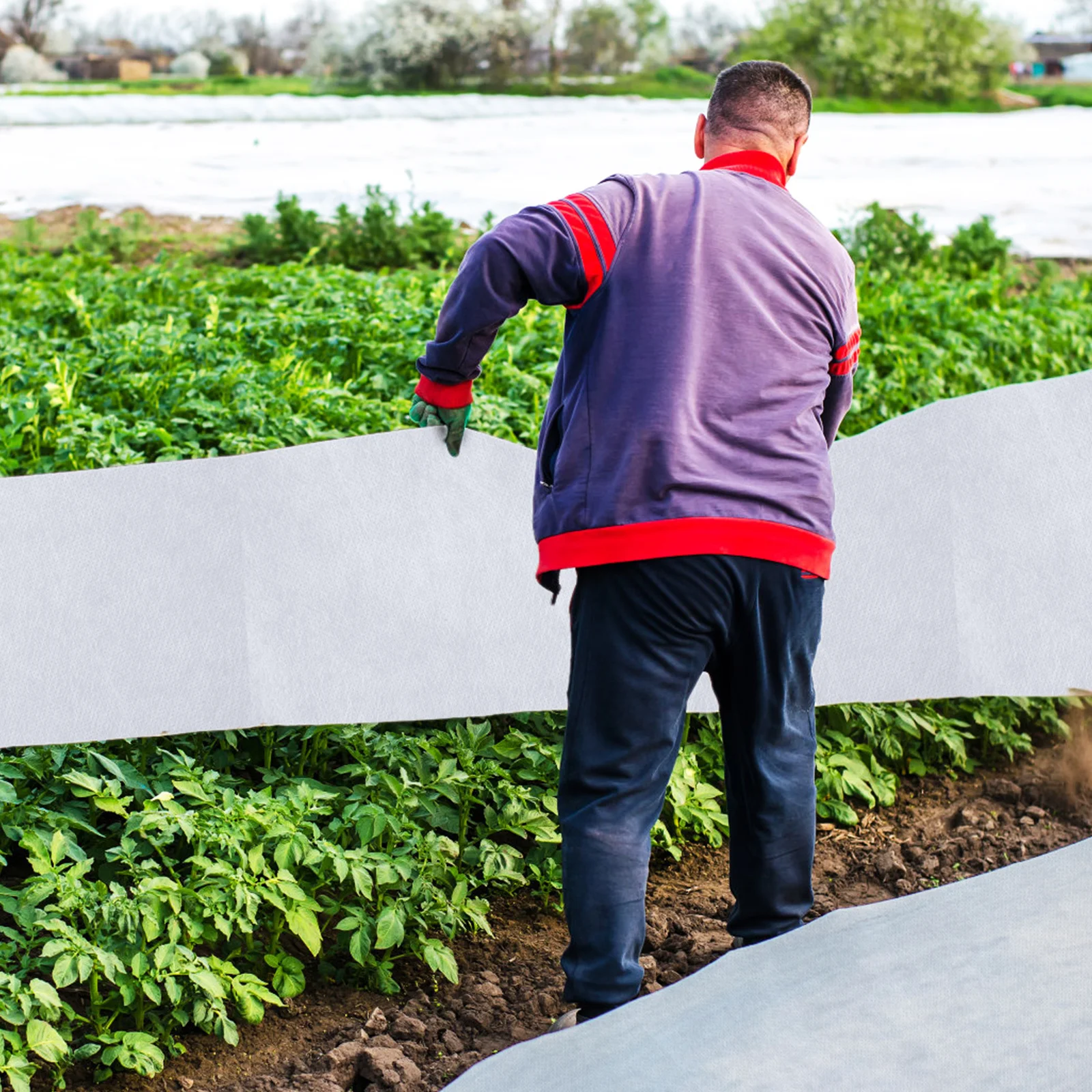 Cubierta protectora de plantas de lana no tejida para jardín, resistente al frío, reutilizable, cortable para diferentes tamaños, 2 uds.