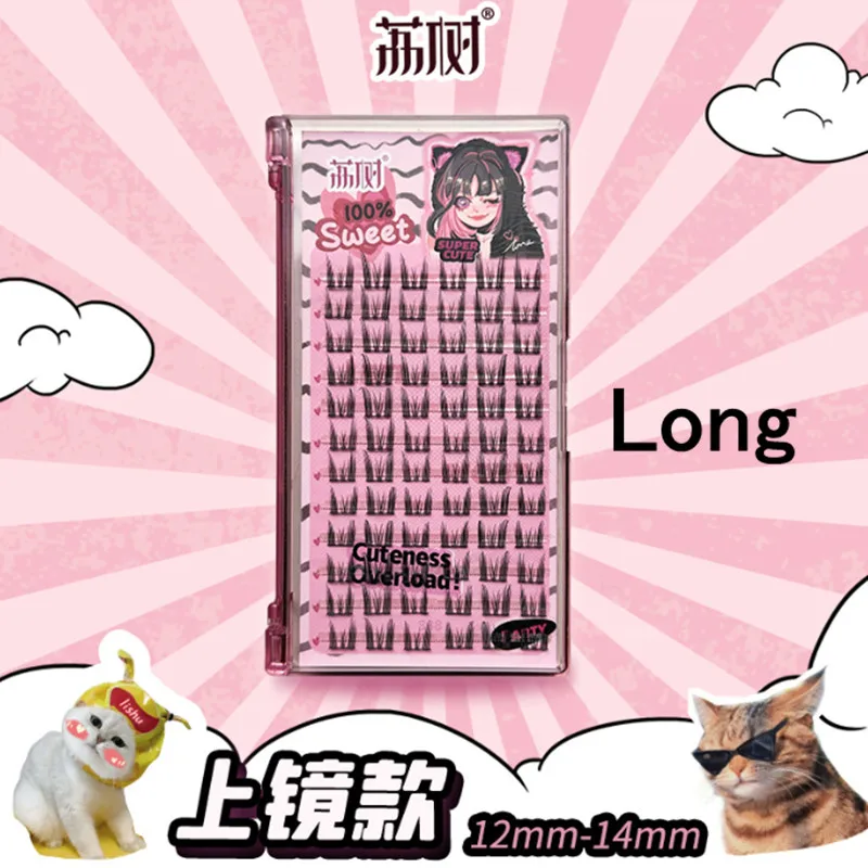 LISHU False Eyelash Reusable Natural Single Individual Cluster Segmented Thick Long Fluffy Eyelashes Enlarge Eyes