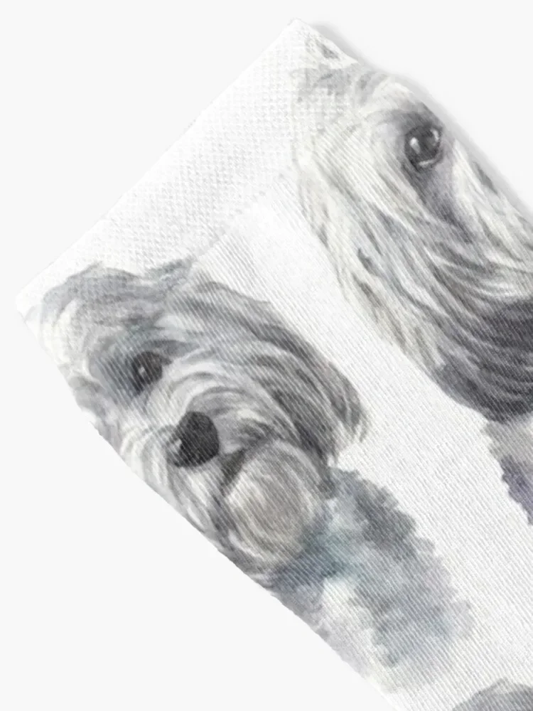 Cute White Havanese Watercolor Art Socks kids luxury gym Male Socks Women's