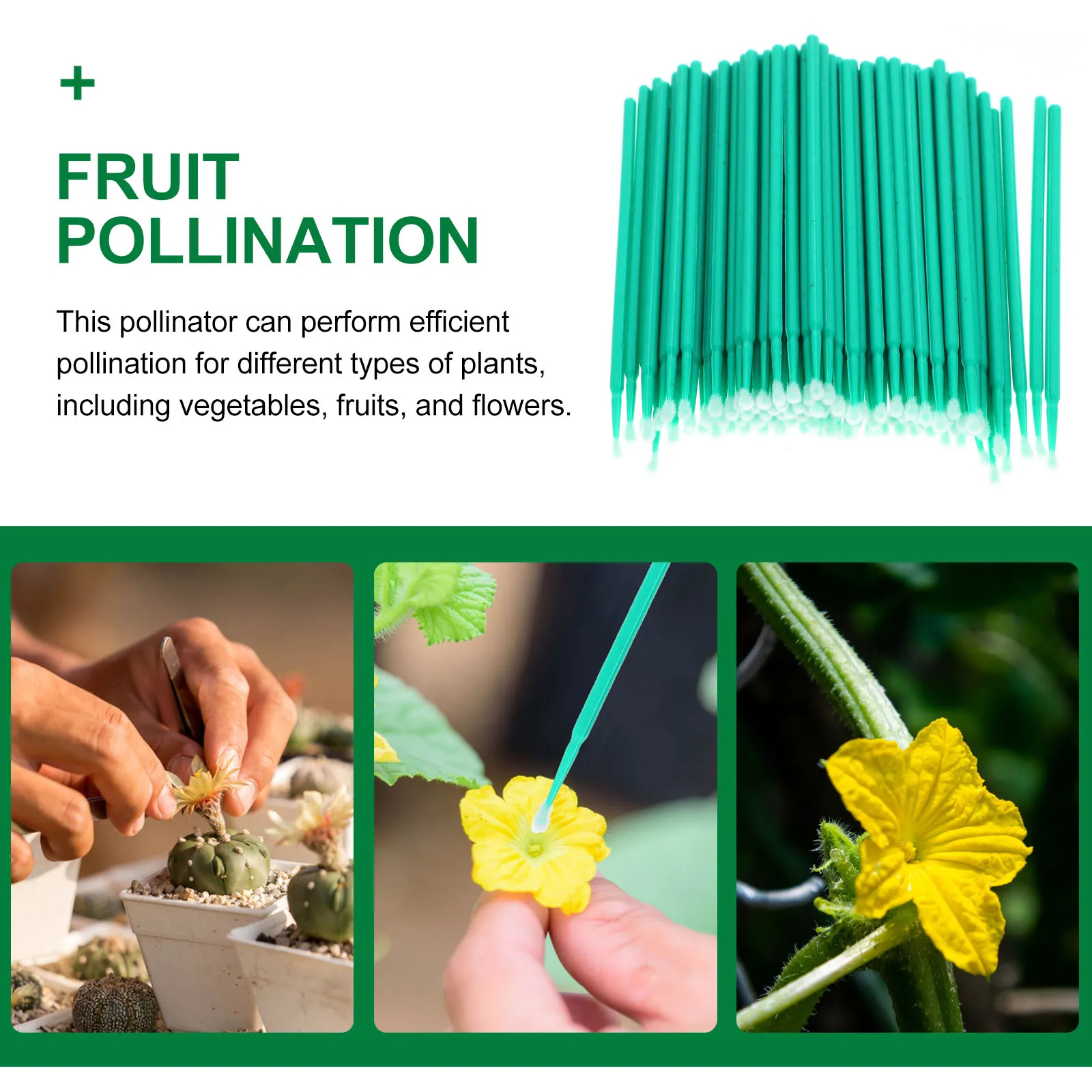 100pcs Vegetable Pollinator Tool Fruit Pollinator Succulents Plants Tomato Cucumber Pollinator Gardening Tools