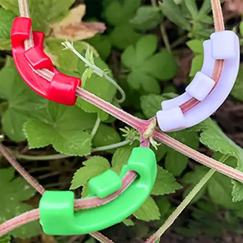 10 best sales कोई विषय पढ़ाना - №4