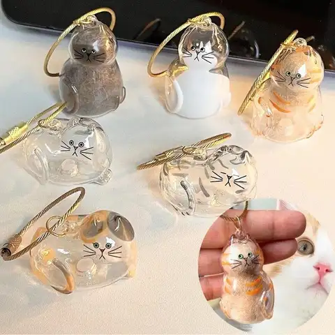 반려동물 털 보관함 투명 기념품 용기 고양이 털 DIY 장식 기념품 애완동물 애호가 홈 디스플레이용