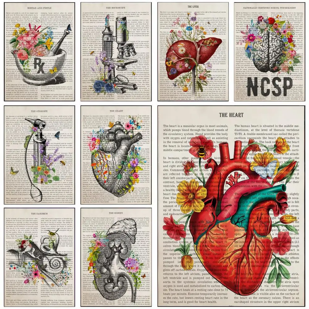 Artistic Flower Organ Anatomy Art Poster HD art sticky wall waterproof home living room bedroom bar aesthetic decoration