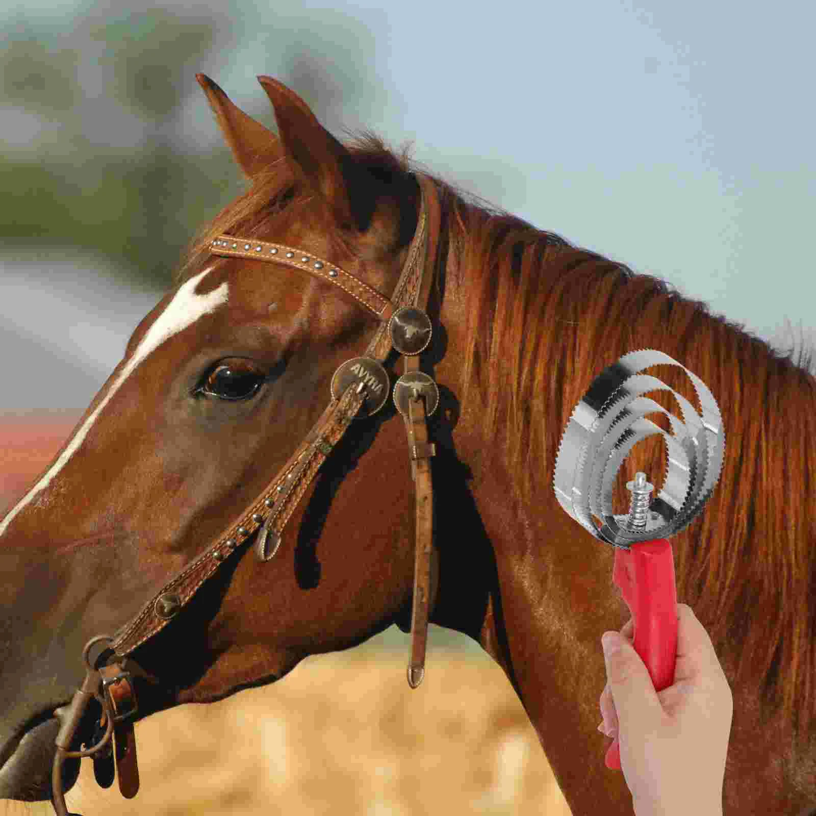 Brosse à cheveux en acier inoxydable pour animaux de compagnie, 2 pièces, pour le toilettage des bovins