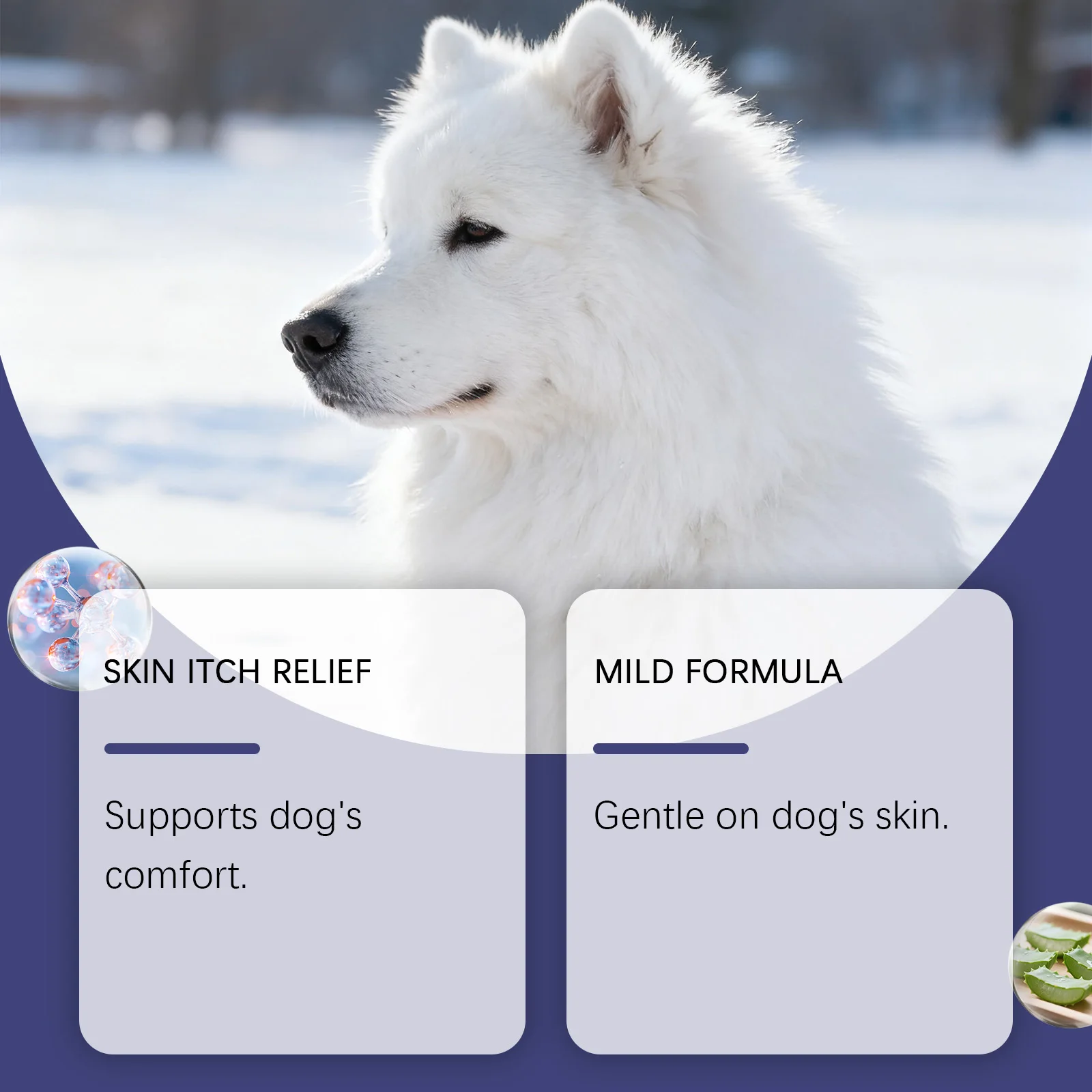 Picture 5: Dog Shampoo - Gentle Formula for Mild Cleaning, Reduces Odors & Supports Smooth, Shiny Fur, Safe for Canine Skin & Daily Care