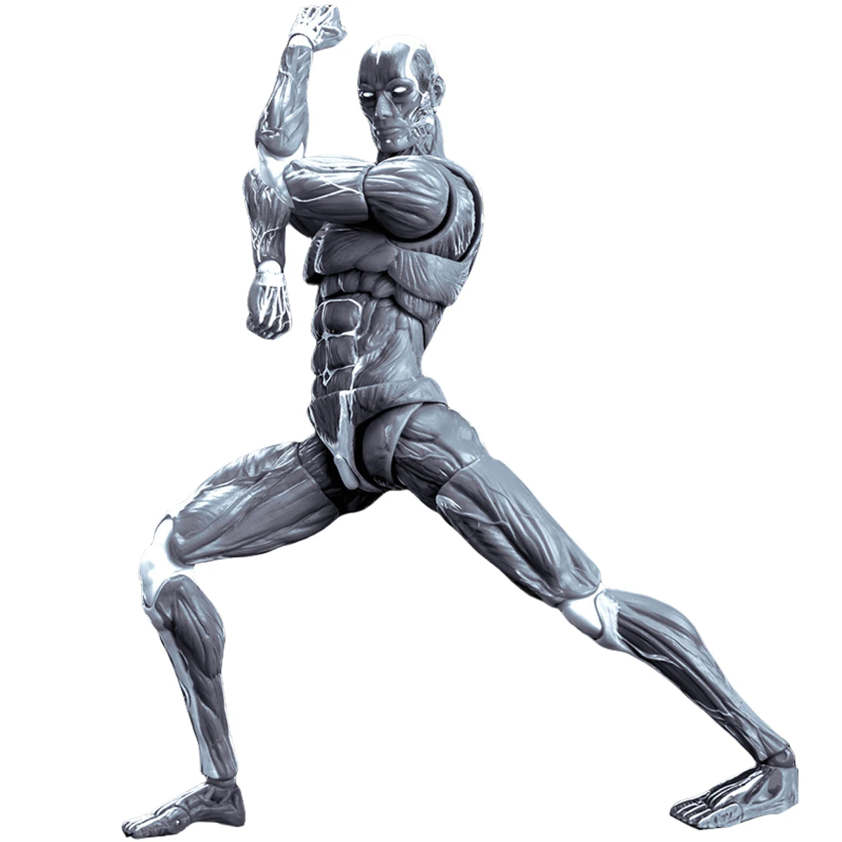 

HiPlay KEEPGOING 1/12 Human Muscle Model Action Figure