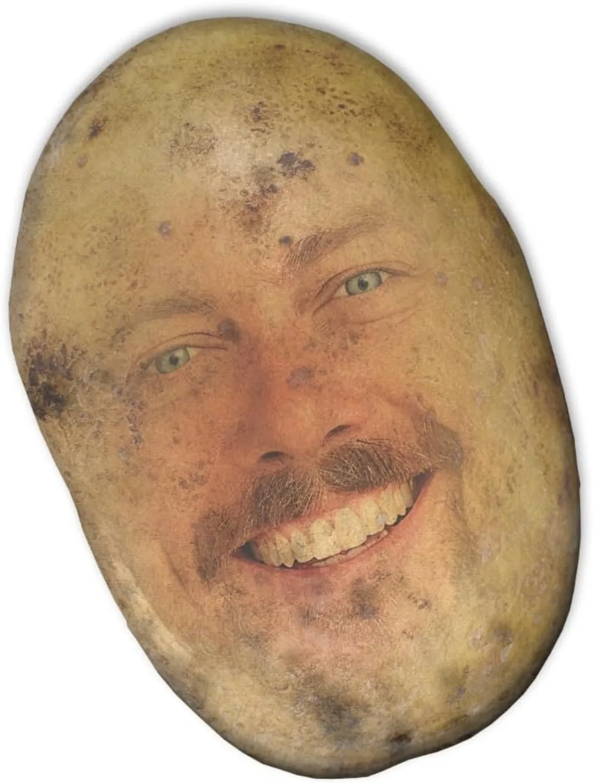 Cojines personalizados con retrato de patata, impresión de doble cara, son el regalo perfecto para celebraciones de cumpleaños o festivales.