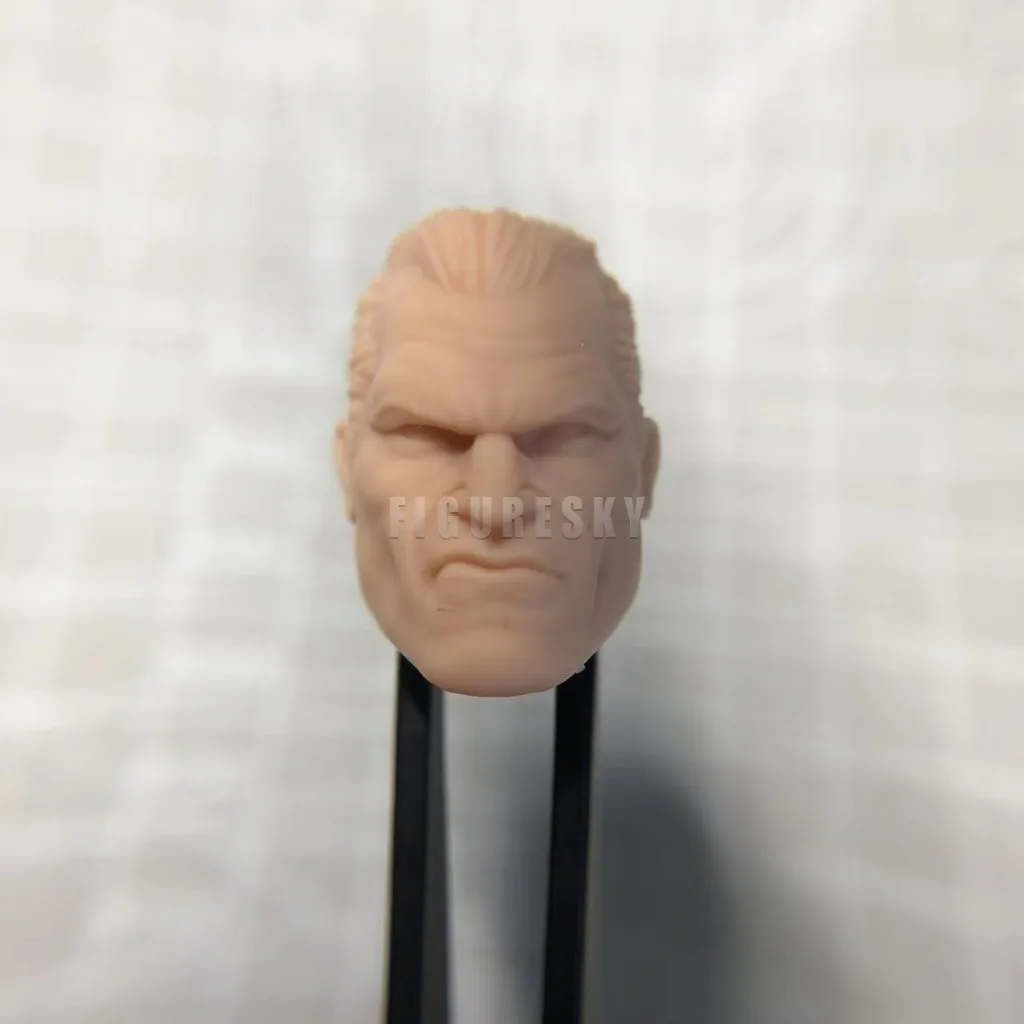 

HL1348 Customized 1/18 1/12 1/10 Scale Frank C Comics Unpainted Head Sculpt for 3.75" 6" 7" Figure SHF ML Mafex Mez NECA Mcf
