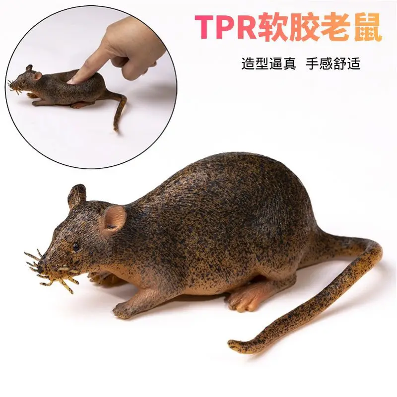Simulatio Soft Wild Insect Animal Model Caterpillar Lizard Mouse Action Figures TPR Halloween Trick Gift