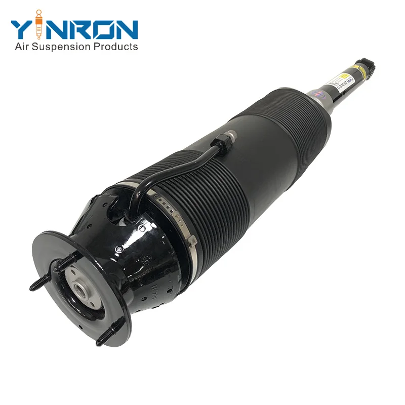 A2203209213 Rear Right Hydraulic ABC Shock For Mercedes-Benz S-Class W220 S600 With Top Quality