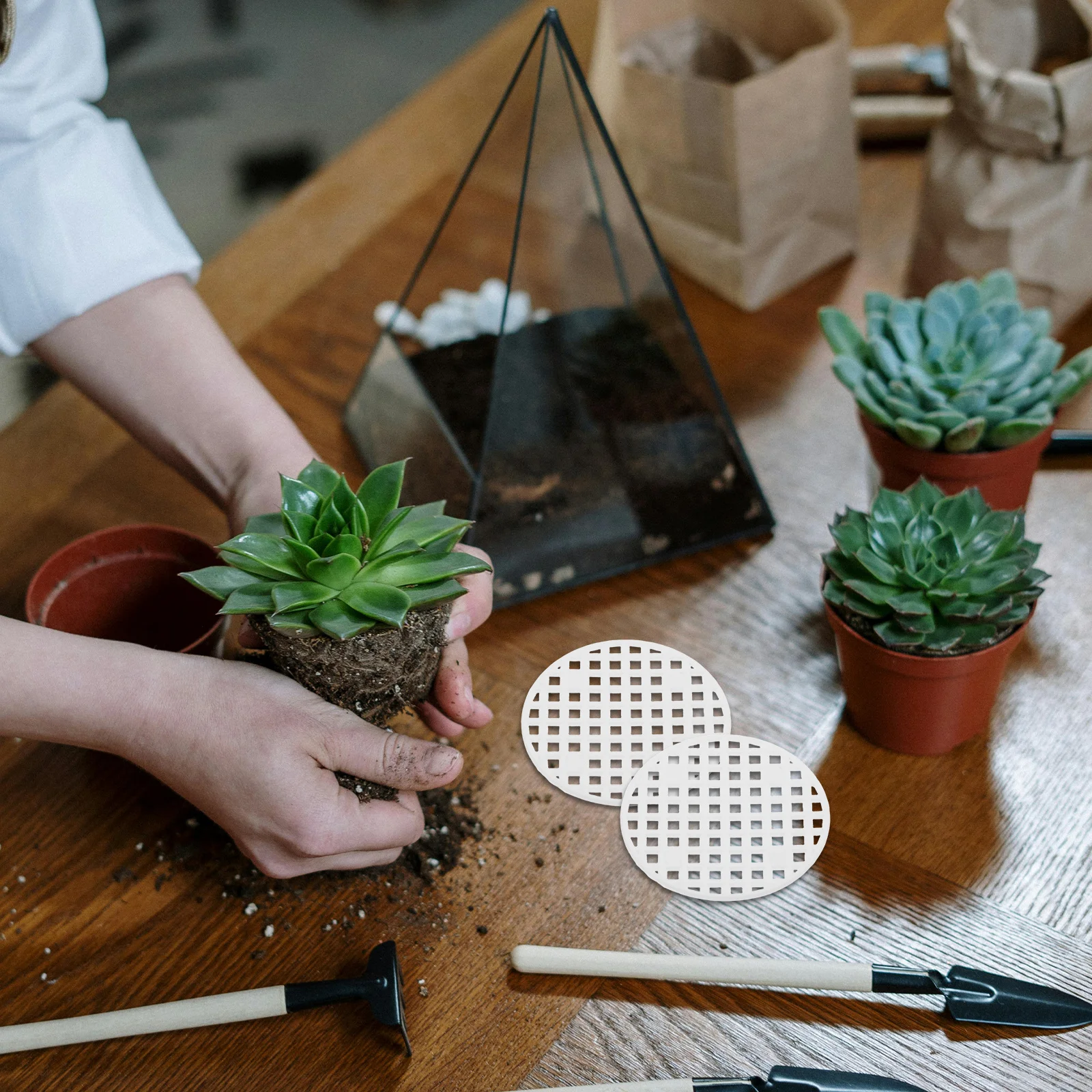 

100pcs Flower Pot Mesh Pads White Plant Pot Bottom Net Breathable Drainage Covers For Planters Bonsai Garden Decor Supplies