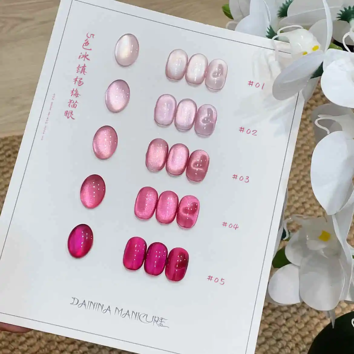 DAININA High Quality 5 Colors Moonlight Cat Eye UV Gel Nail Set for Salon Use Non-toxic UV LED Curing Lamp Compatible view 3