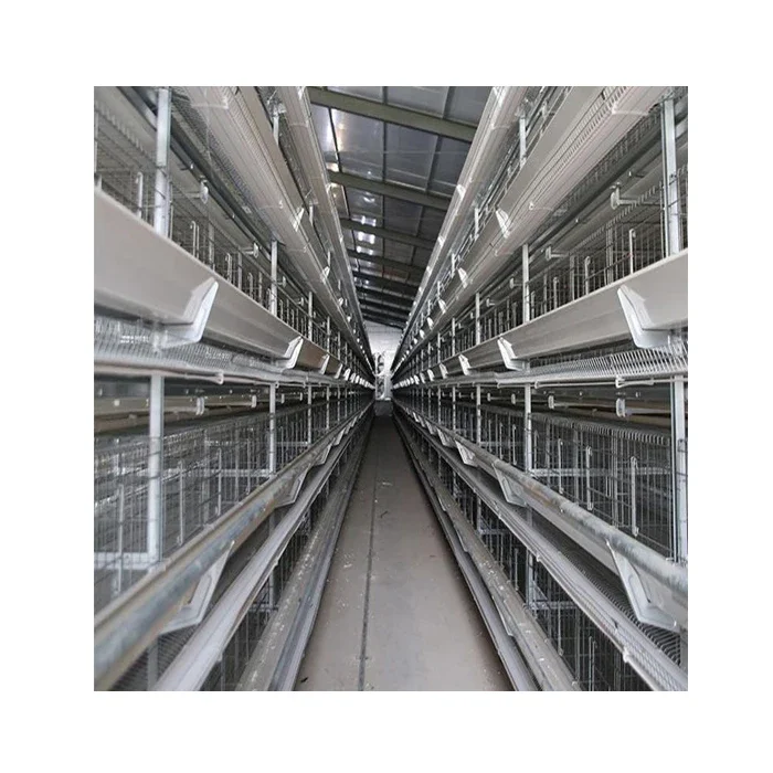 

Wholesale Price Full Automatic H-Shaped Chicken Cage For Farm Use