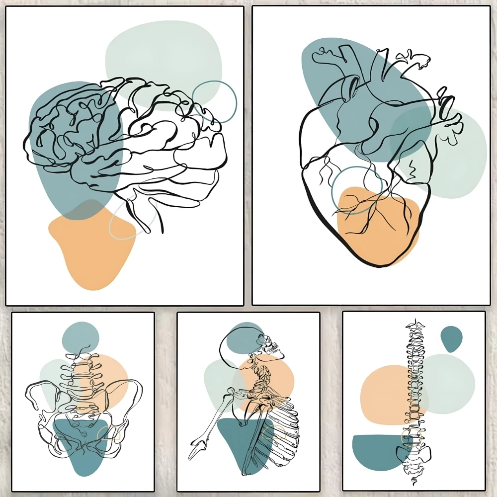 ملصق على شكل قلب للتشريح الطبي ملصق مثالي ذاتي اللصق مصمم لمساحات تناول الطعام في المكاتب المنزلية #2