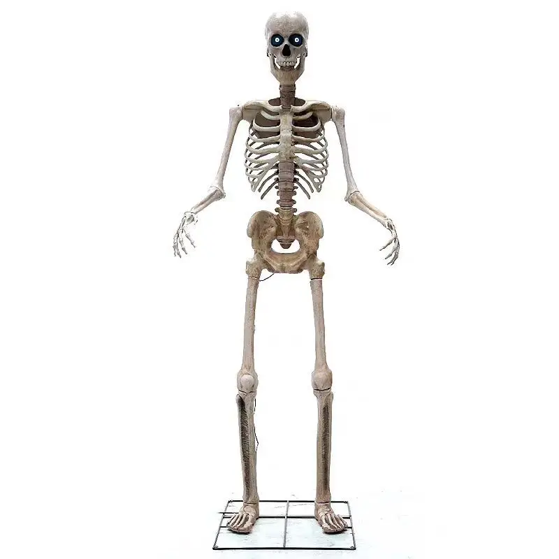 

Halloween Large Skull Skeleton 240CM Standing Skeleton Haunted House Decoration Props