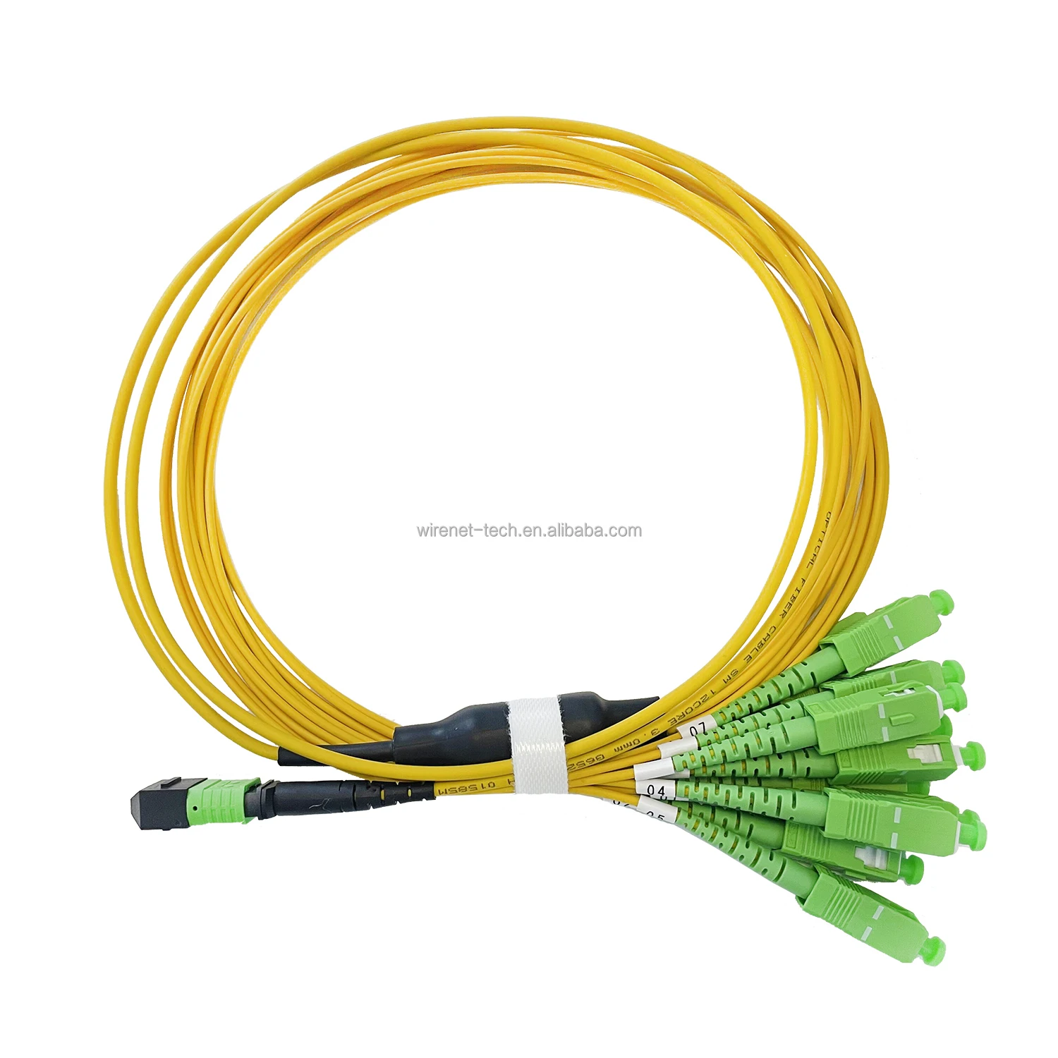 

MPO SC Fanout Fiber Patch Cord SM 12C SC to MPO Fiber Optic Breakout Cable for FTTH Data Center Network Wi-Fi