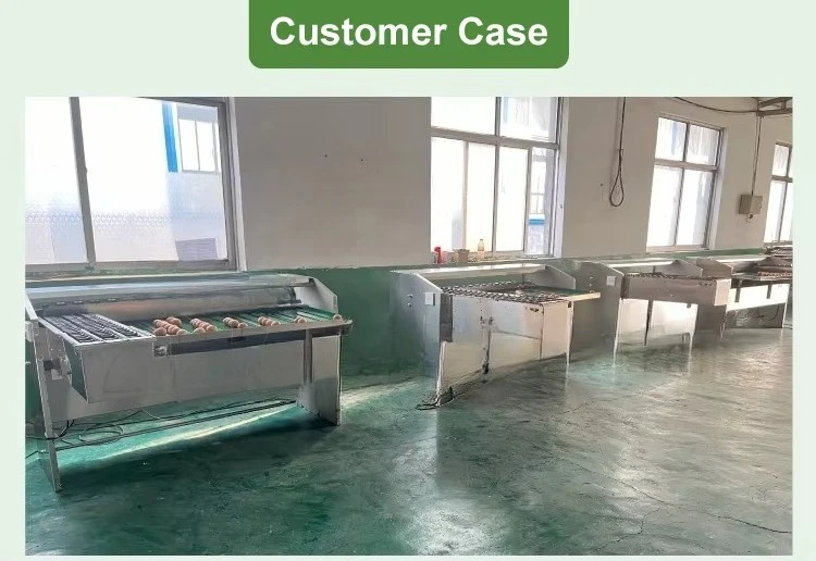 ماكينة تصنيف البيض بقدرة 2000-30000 ساعة، ماكينة فرز وزن الدواجن الصناعية، معدات تربية الدواجن