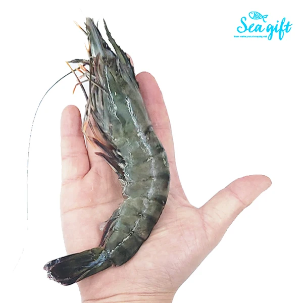 Camarón tigre negro de grado A especial, 500g, 30 mi (500g), camarón rey congelado