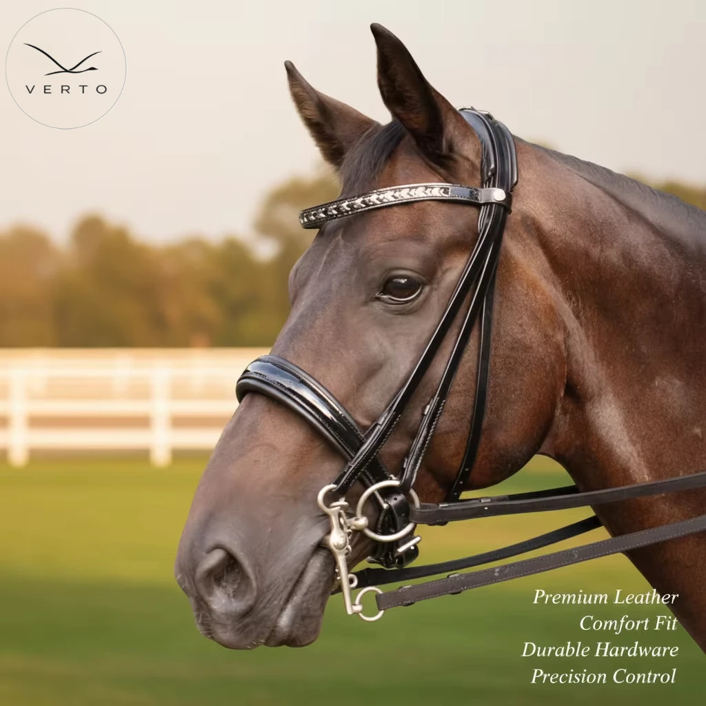 Elite Swedish Leather Horse Bridle Kostolany Double Rein Adjustable Comfort Fit Balanced Control for Schooling and Events