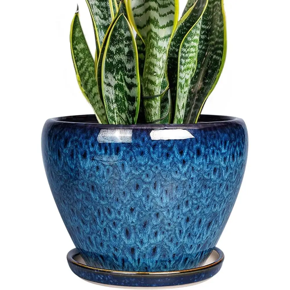 Blue Ceramic Plant Pot 8 Inch with Drainage Hole and Saucer Perfect Indoor Outdoor Flowers and Succulents