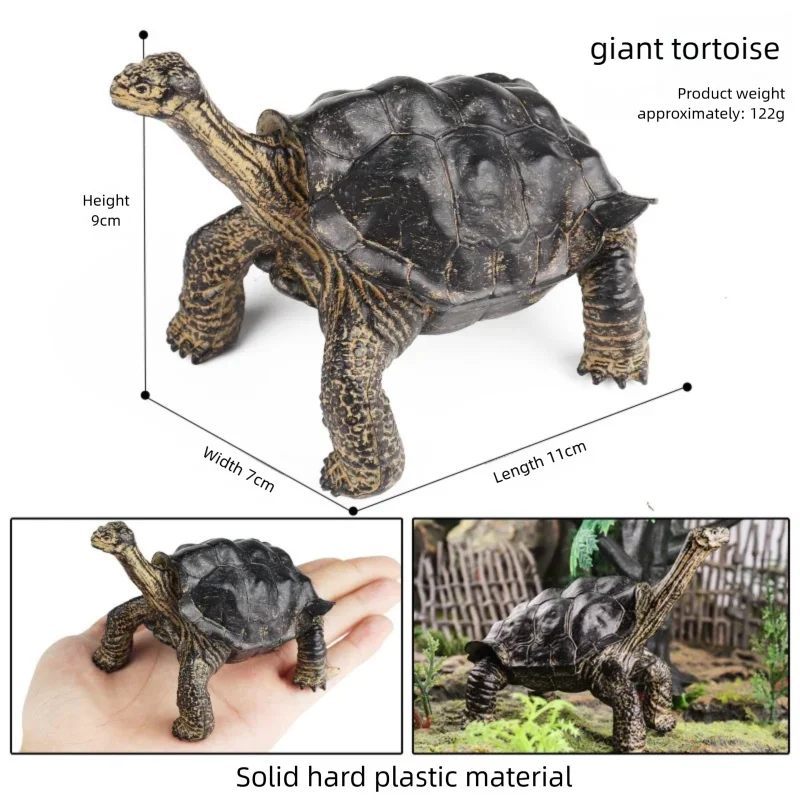 Oenux Simulations-Schildkröten-Set: Alligator, Galapagos-Schildkröte, Chinesische Weichschildkröte Figuren und Puppen – Detail 10