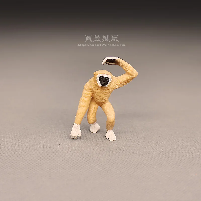 Cognitive Simulation Primate Wild Animals Action Figures Model Squirrel Monkey Gibbon Mandrill Miniature Ornament Accessories