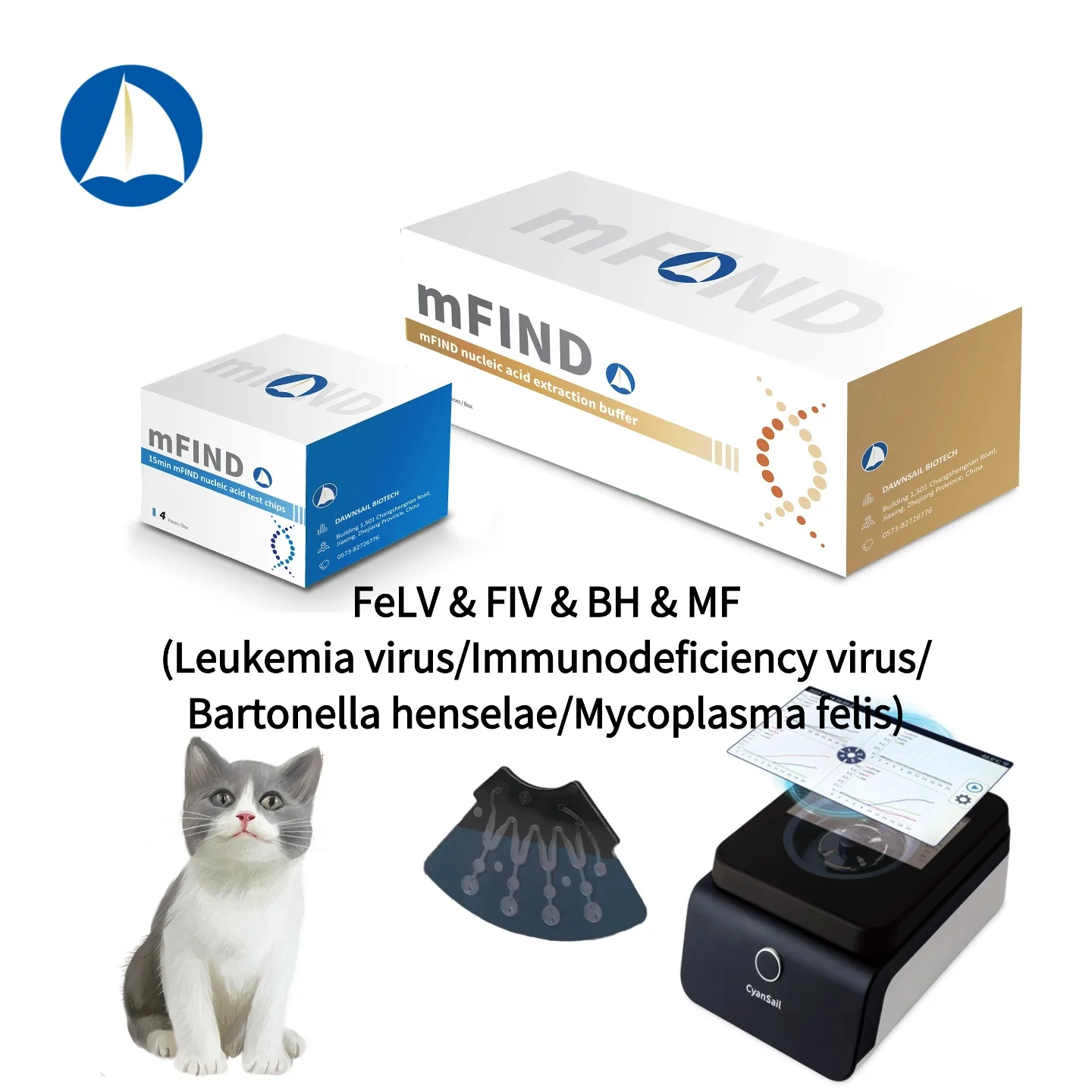 Pet Clinic PCR Machine Feline Leukemia Bartonella Henselae Mycoplasma FeLV FIV BH MF Combo Test Diagnostic Analyzer