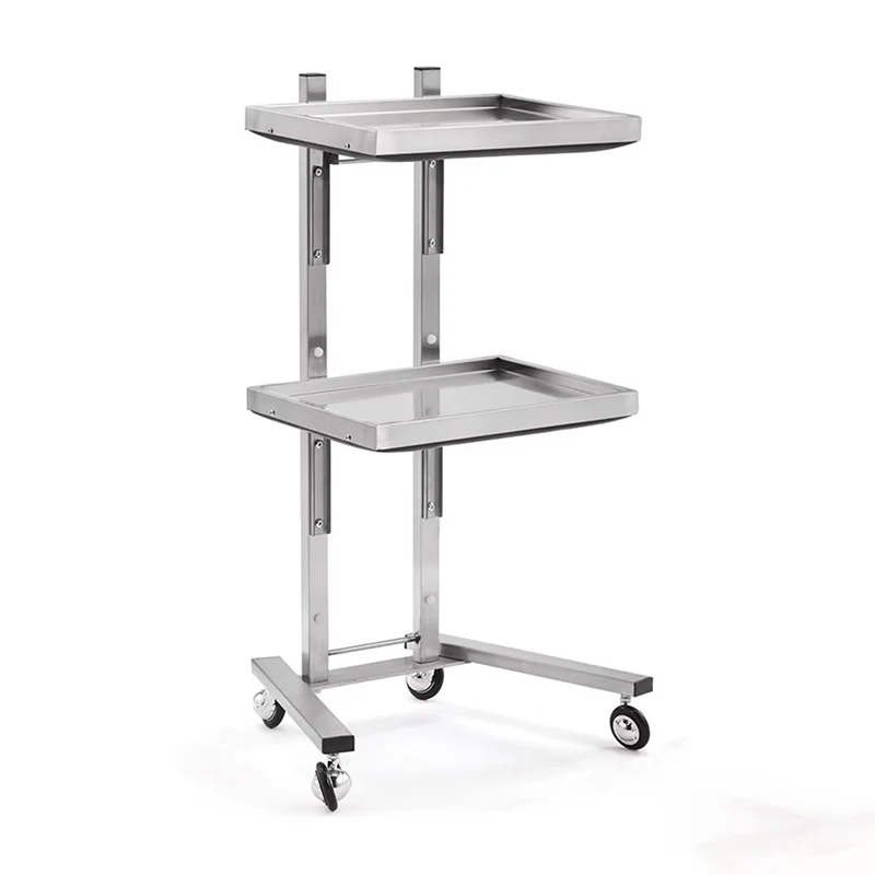 Designer Beauty Salon Trolley Stainless Metal Hospitality Salon Trolley Manicure Carrito De Bar Multifuncional Furniture Fg19