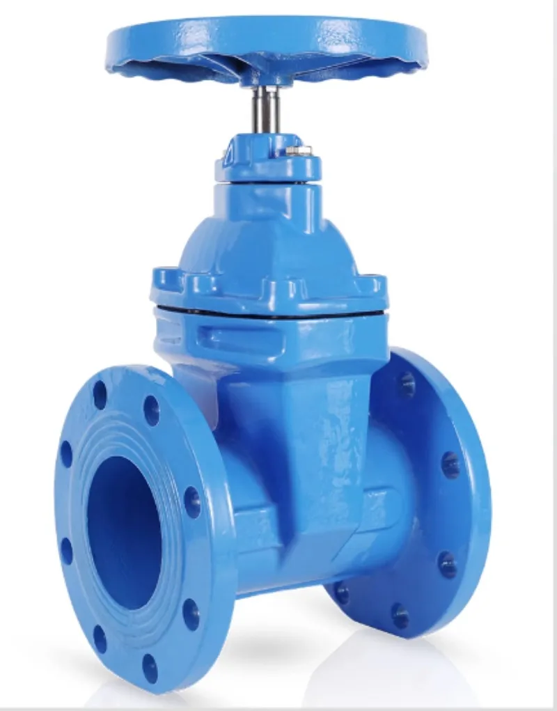 Flanged Ductile Iron/Cast Iron Manual Industrial Gate Valve, Elastic Seal, Non-Floating Stem, Water, 2 