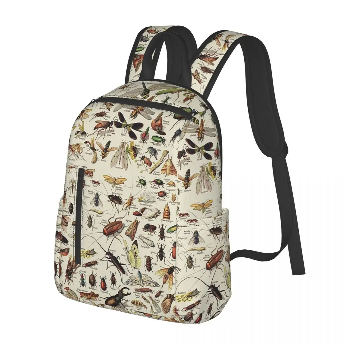 Insects Chart. Scientific Illustration, Text In French Student Backpack School Bag Hiking Travel Daypack for Men Women Bookbag