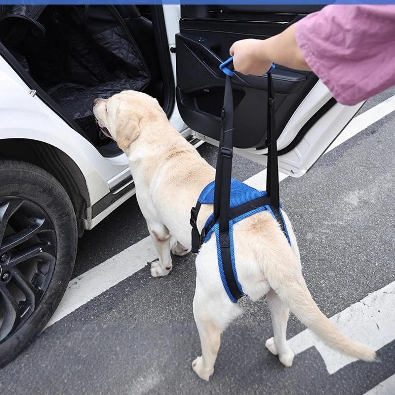

Adjustable Dog Lift Harness Pet Support Sling Pet Dogs Aid Assist Harness for Old Dogs for Back Legs Help Weak Legs for Walking