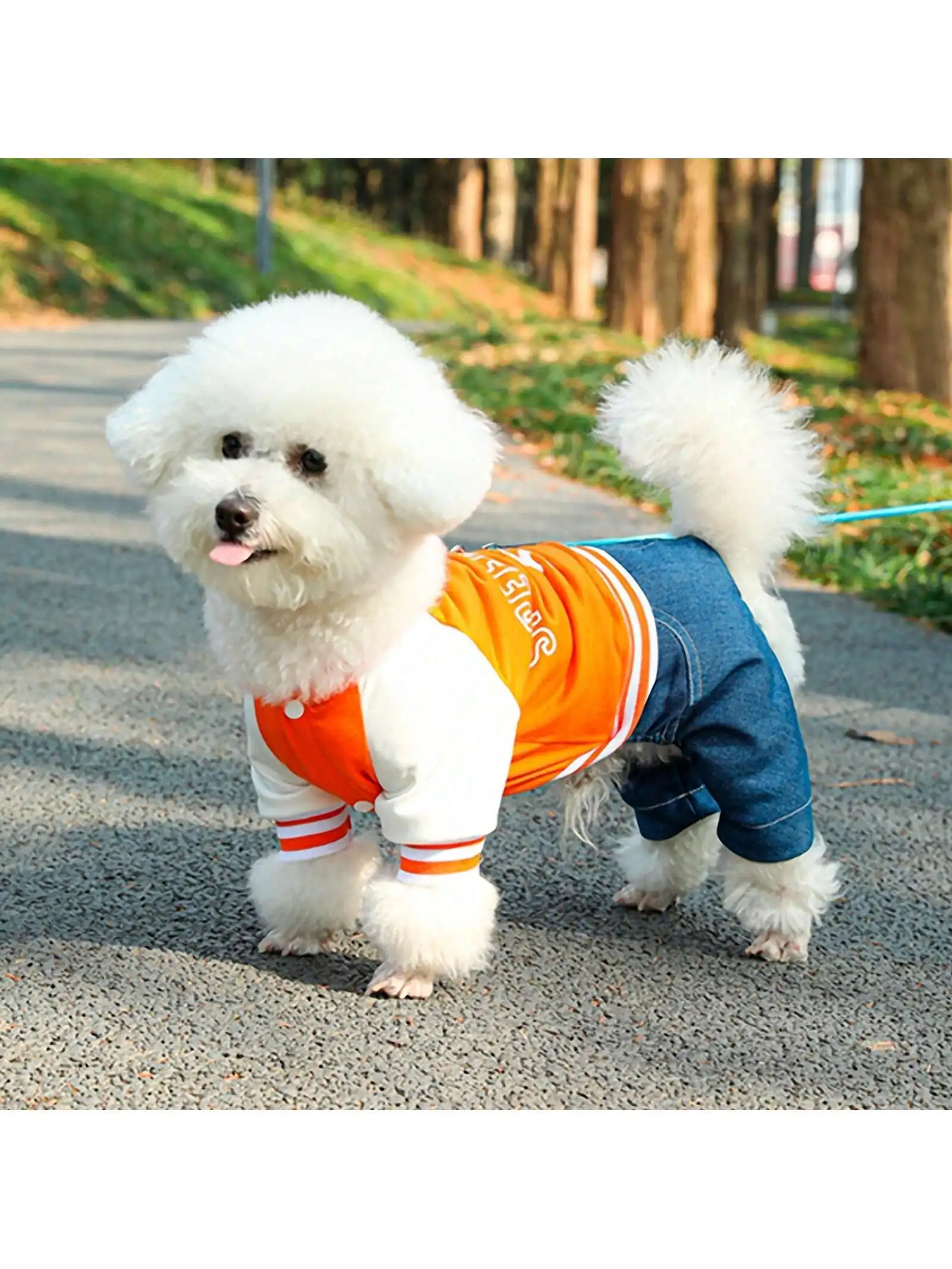 1pc Pet Four-Legged Jumpsuit With Printed Letters And Orange Flaming Design, Spring And Autumn Clothes For Cats And Dogs