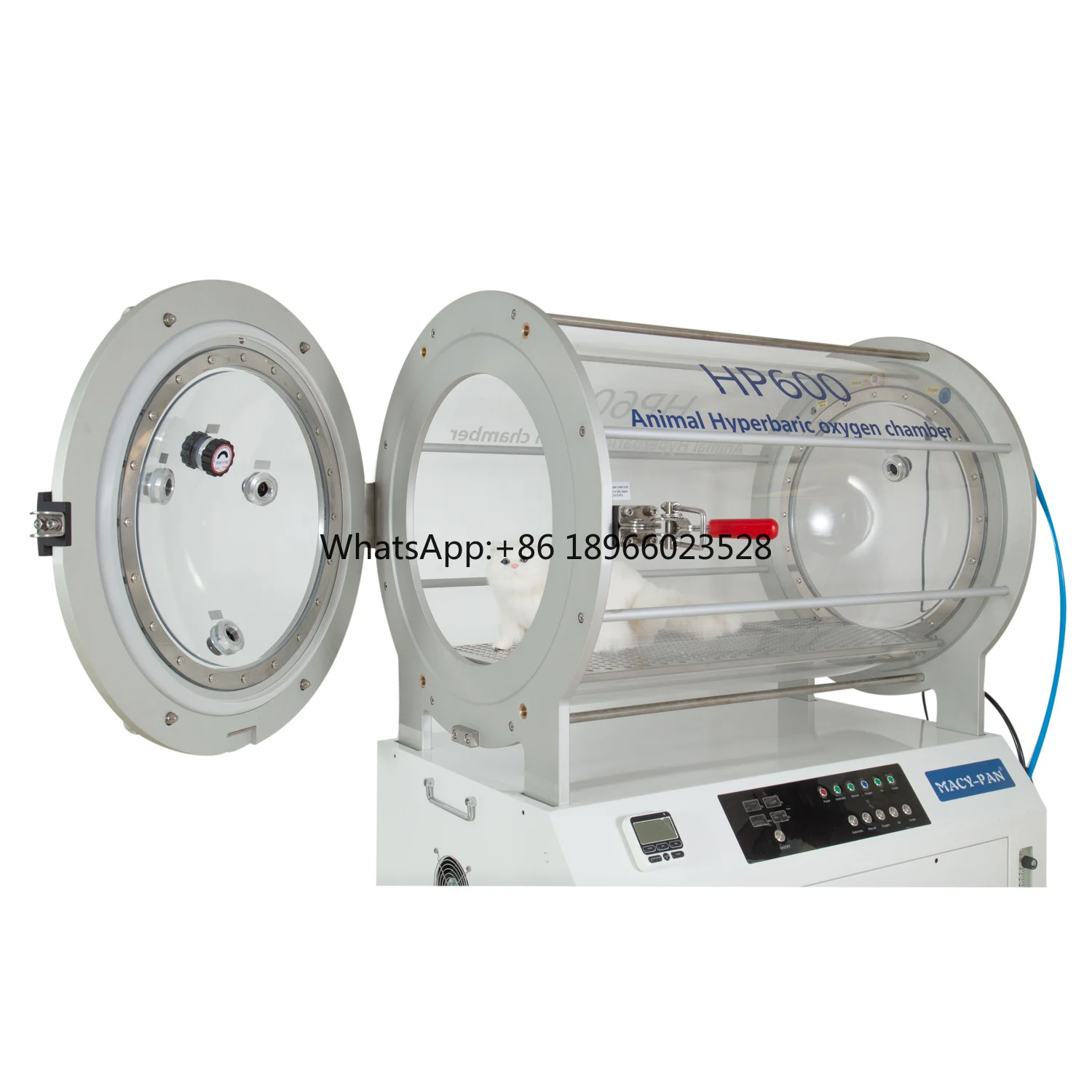 Animal hospital pet animal hyperbaric Oxygen Chamber