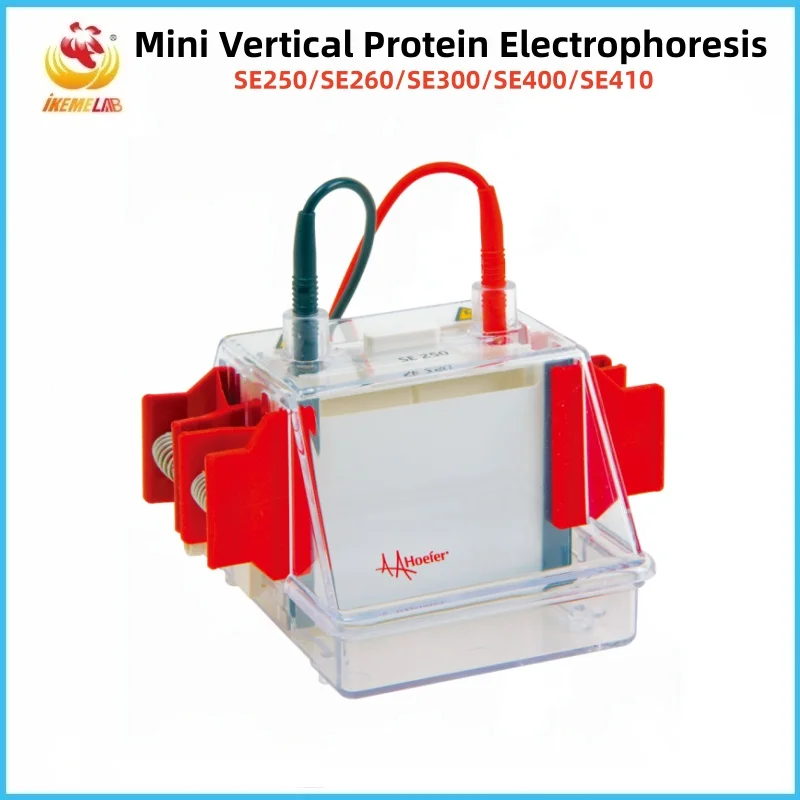 

Hoefer Мини Вертикальный протеиновый электрофорез Лабораторная молекулярная цитология Вертикальные ядерные кислоты Протеиновый электрофорез WB