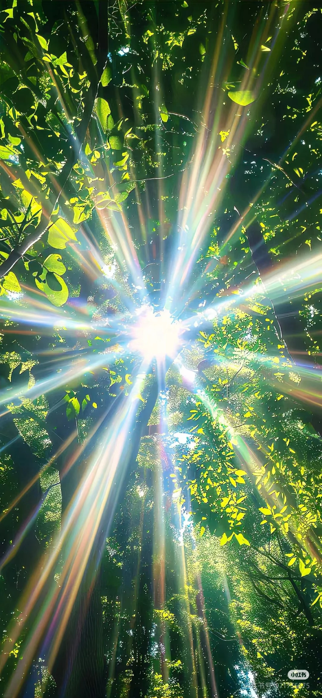 Conjunto de Eixo Dianteiro e Traseiro de Metal e Braço de Servo WPL 1/10 C74 1/16 C14 C24 C34 C54 B14 B24 Peças de Upgrade para Carros RC