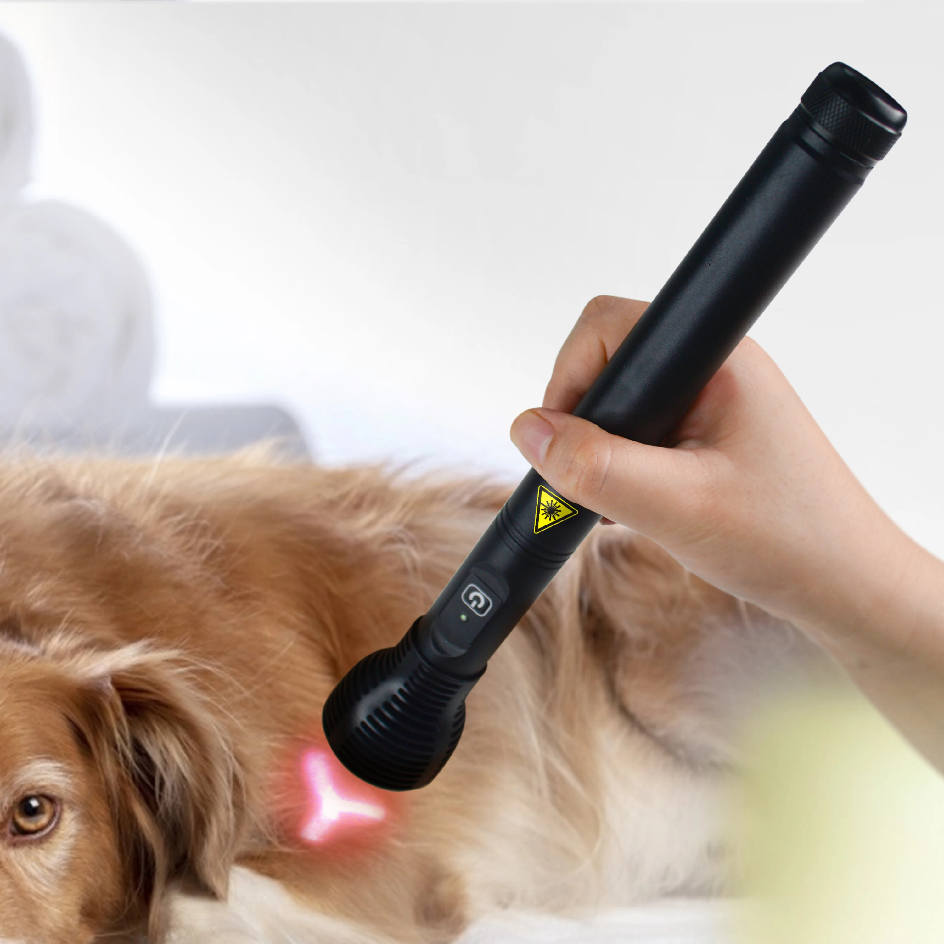 

2026 LLLT Cold Laser Therapy Pen 808nm 1500mW Infrared Red Light Device for Pain Relief Muscle Wound Healing Herniated Disc Dog