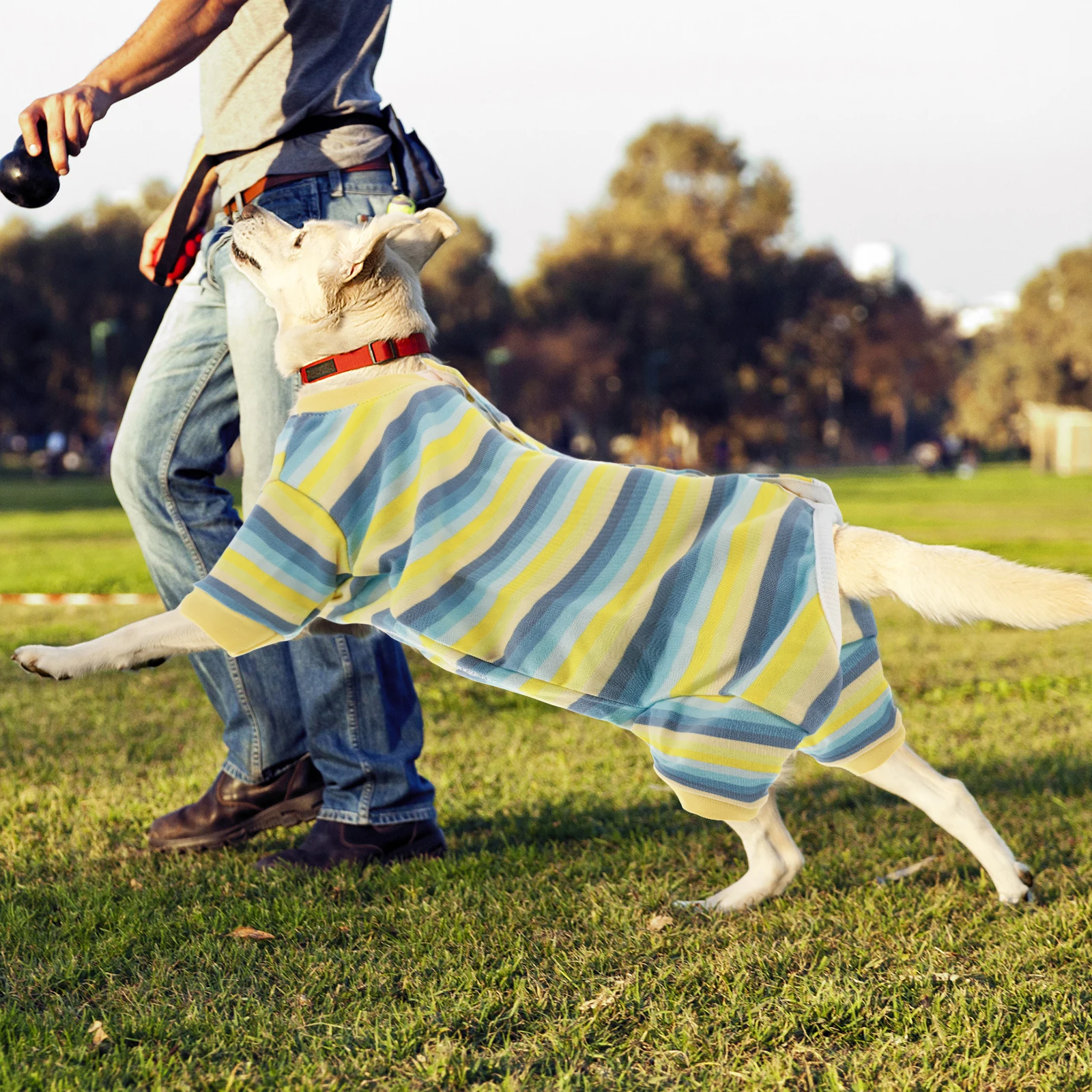 

Recovery Suit After Surgery Alternative Pet Surgery Wear Potty Opening Adjustable Buttons Pet Apparel
