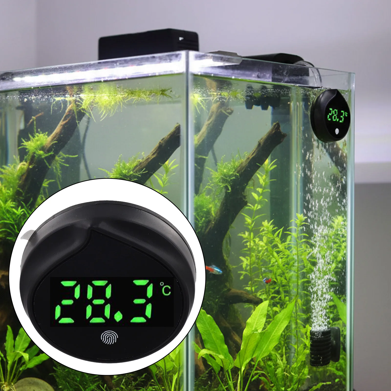 Digital Aquarium Thermometer LED Screen for Fish Tank Monitoring Accurate Temperature Reading to Sixty Celsius