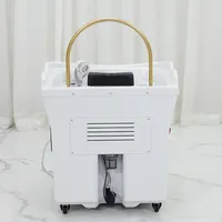 Portable Japanese Style Head Therapy Care Shampoo Basin Reclining Light for Salon Furniture