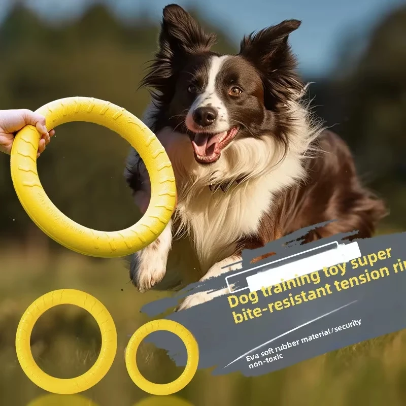 Hundespielzeug Haustier Fliegende Scheiben Outdoor Training Zugring Aggressives Kauspielzeug Fliegende schwimmende Trainingsgeräte Beständig