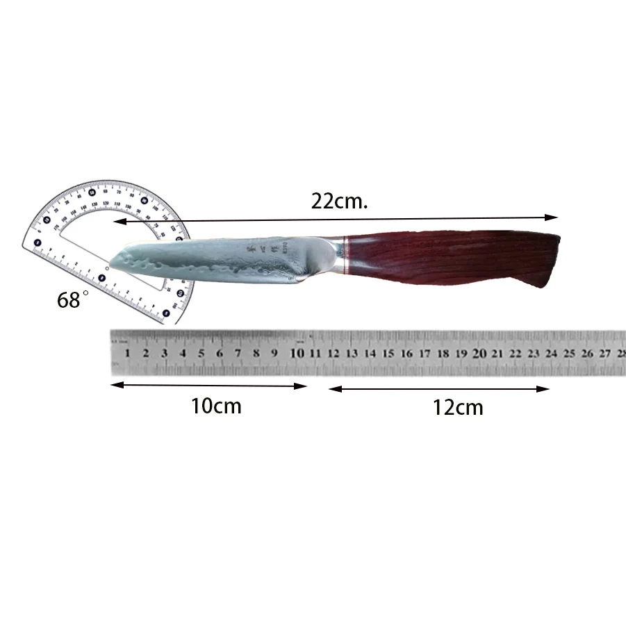 3.9 Inch Paring Knife M390 Steel Core Blade Razor Sharp Peeling Slicing Cleaver Barbecue Damascus Kitchen Knives Wood Handle
