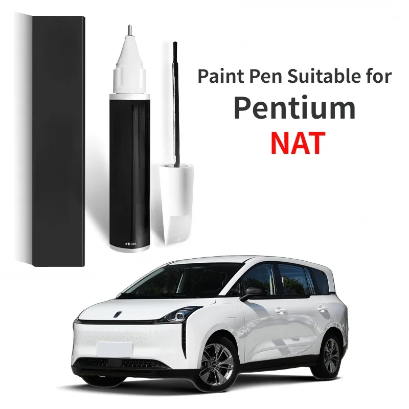 

Ручка Touch Up Pen 2 в 1 Paint Pen подходит для Pentium NAT Модифицированный Arctic White Специальный фиксатор краски Pentium Nat Fule Silver Origin