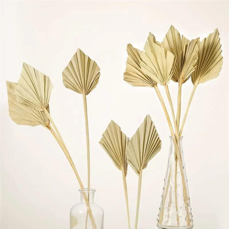 N04R Boho Dried Palm Spears Small Natural Dried Palm Fans Leaves Decor - Detail 1
