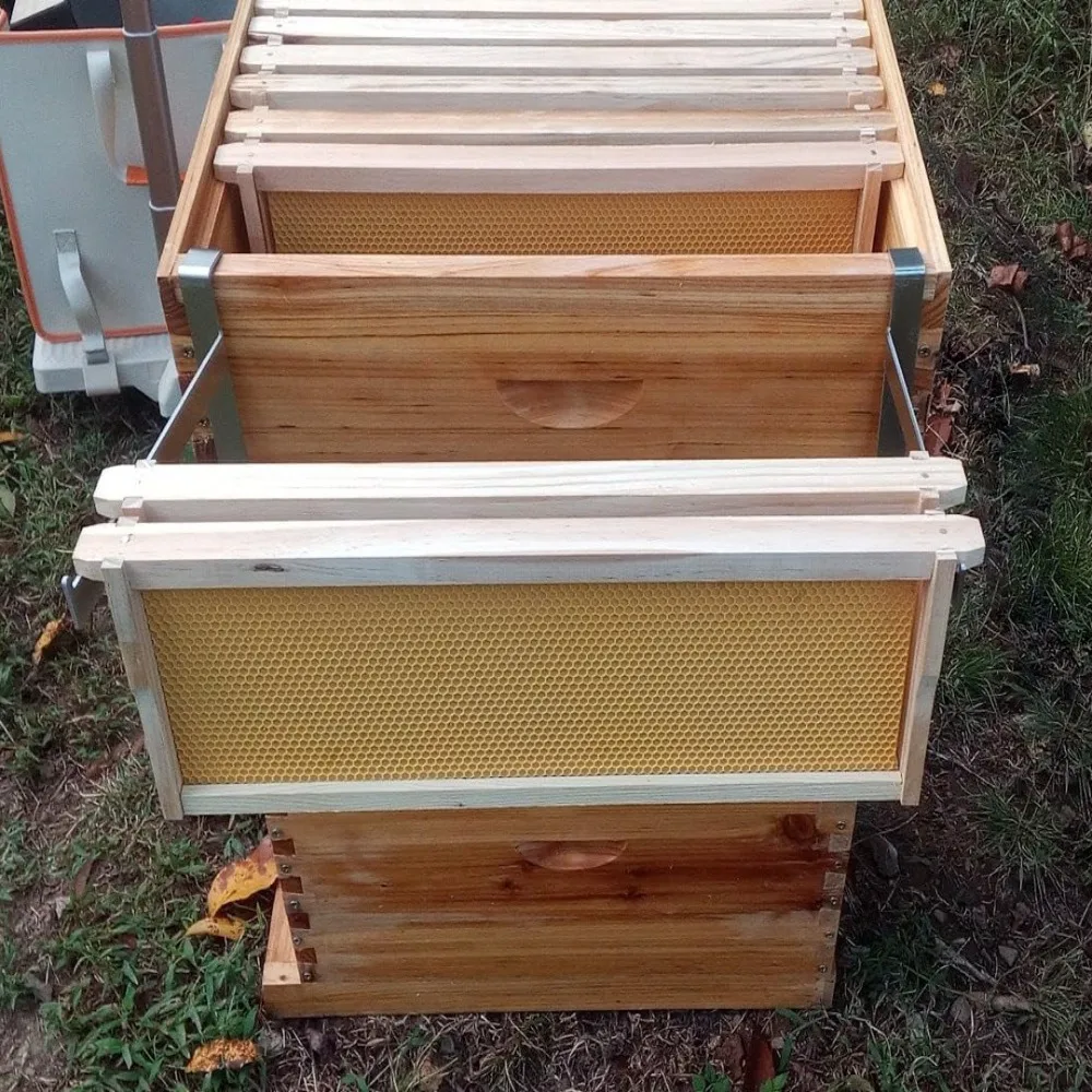 2pcs Stainless Steel Beehive Frame Holder Rustproof Adjustable Bee Hive Frame Grip Multifunctional Stable Beehive Support Rack